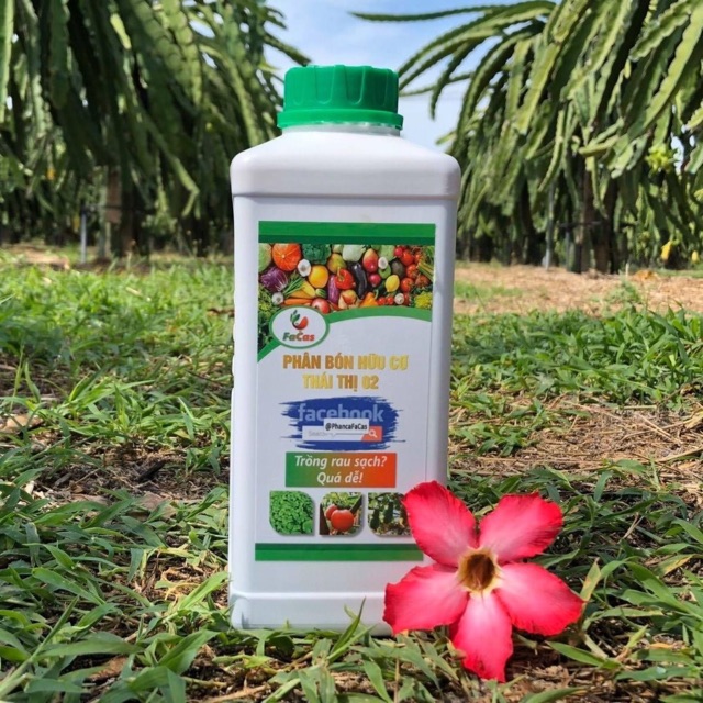 PHÂN ĐẠM CÁ HỮU CƠ THÁI THỊ 2