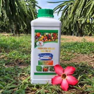 PHÂN ĐẠM CÁ HỮU CƠ THÁI THỊ 2
