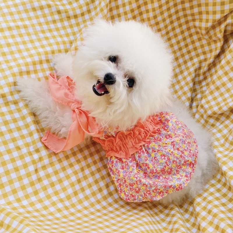 Đầm CộtNơ Thiết Kế Xinh Xắn Thời Trang Cho Thú Cưng