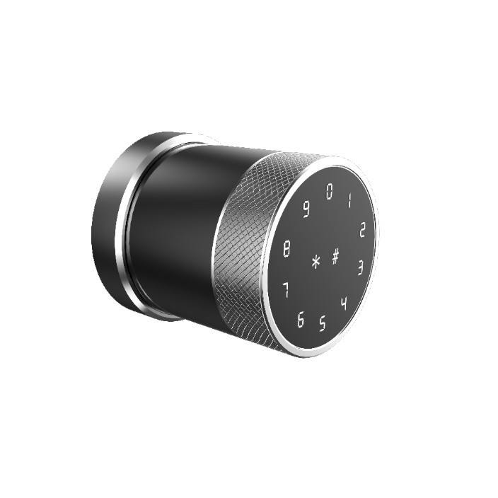 Khóa cửa vân tay thông minh Tuya Bluetooth - Dạng nắm đấm tròn - 5 cách mở cửa