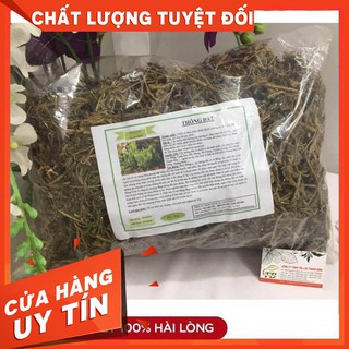 Cây Thông Đất 500g - Loại 1 - Thảo dược Thanh Bình
