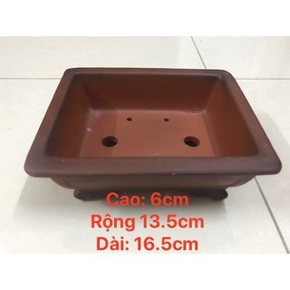 Chậu chữ nhật mini
