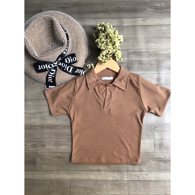 ÁO CROPTOP CỔ TRỤ POLO | WebRaoVat - webraovat.net.vn