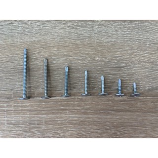 100 gram Vít bắn sắt đầu dù đuôi cá 1F3, 1F6, 2F, 2.5F, 3F, 4F, 5F - Đồ gia dụng Hoàng Kim