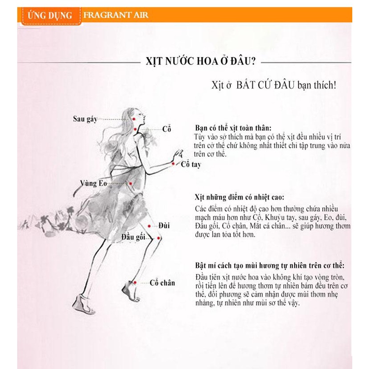 Nước Hoa No6 EDP  Nàng Hương Gợi Cảm, Khó Cưỡng, Quyến Rũ, Sang  Trọng Dành Cho Phụ Nữ Đẹp tainghegioco