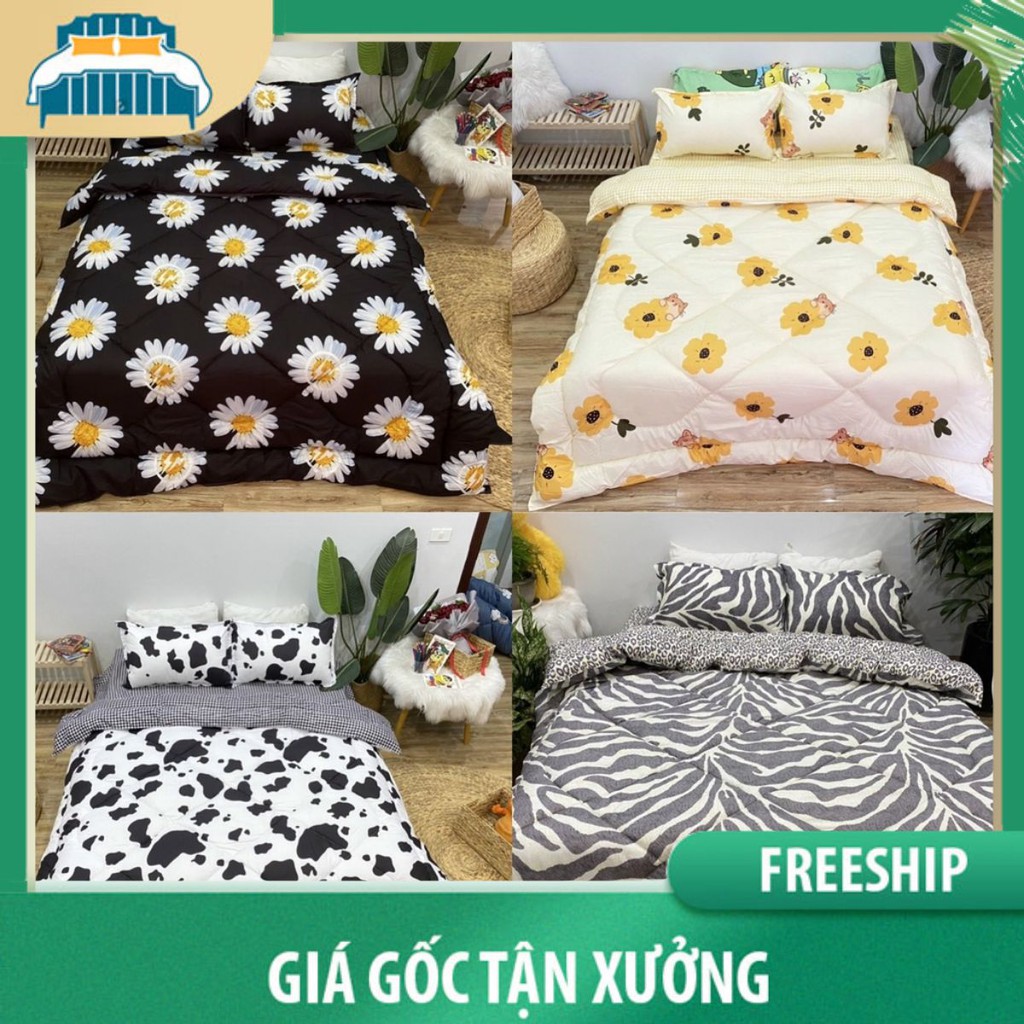 Bộ chăn ga gối Cotton Poly LIDACO sét 4 món vỏ chăn ga giường với đủ size nệm drap giường bo chun