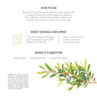 Tinh Dầu Tràm Trà - Tea Tree