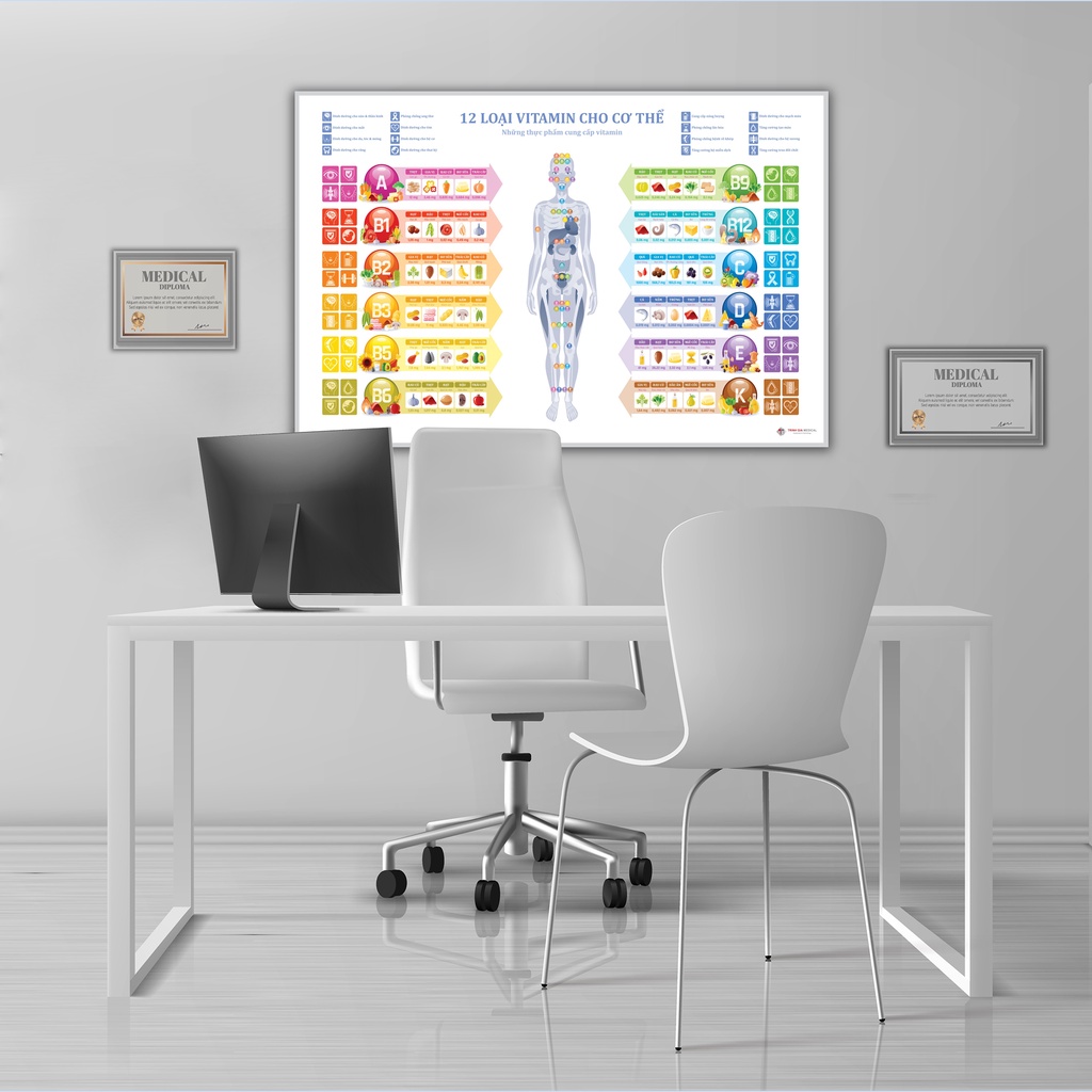 Tranh giải phẫu 12 loại Vitamin cho cơ thể - 50x75cm - Decal dán