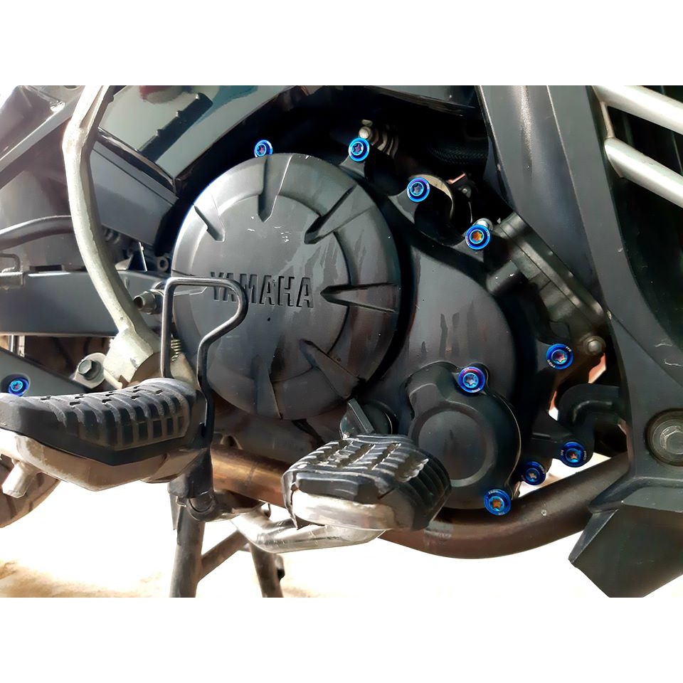 Ốc lôc máy Exciter 135 5 số (2011) PROTI (Full bộ 25 con) - Xanh titan, trắng inox