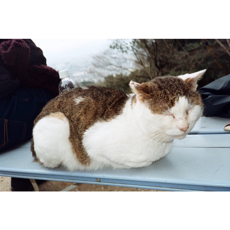 MÁY FILM PNS OLYMPUS MJU ZOOM 115