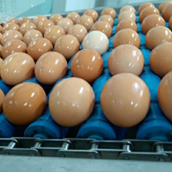 OVOVITA Bột Lòng Trắng Trứng Nguyên Chất Thùng 25kg Dùng Sản Xuất