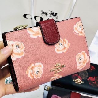 Vi Coach Hoa