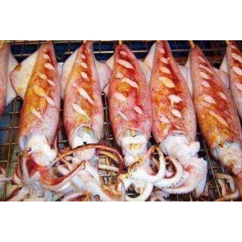 Mực ống ngon làm sạch ❤️ SIZE VIP❤️ 1kg siêu ngon ngọt , giòn