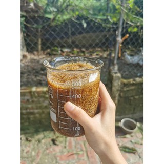 Sữa Tắm Thảo Mộc Cho Cả Người lớn và Trẻ Em