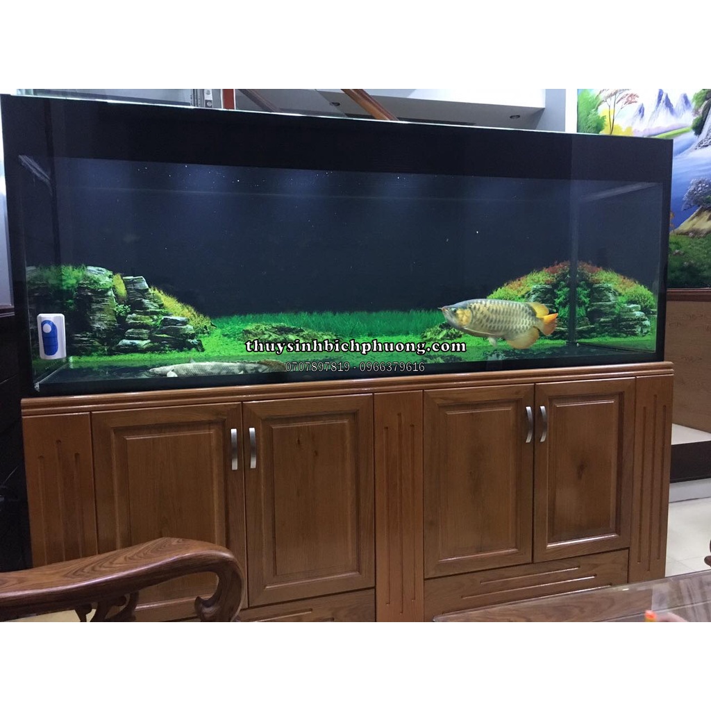 DECAL DÁN HỒ MÀU ĐEN TẠO BỐ CỤC CHO HỒ CÁ THỦY SINH