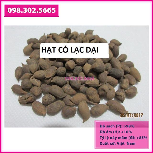 Hạt giống cỏ lạc dại 100 hạt đậu phộng dại