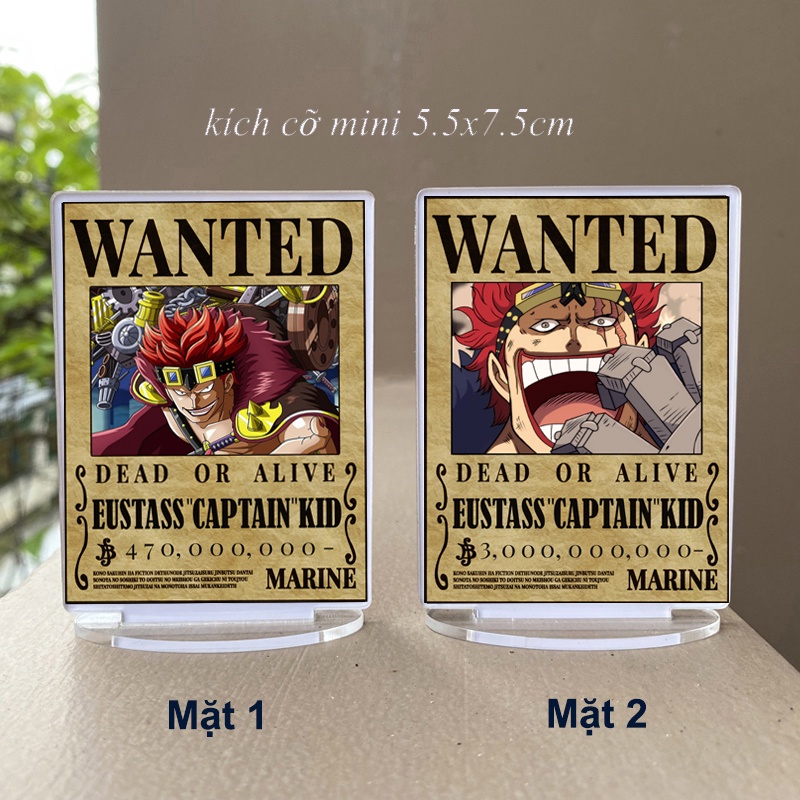 Mô hình mica truy nã One piece kích cỡ nhỏ