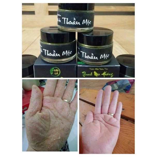 cao thảo mộc lá rừng hàng cty