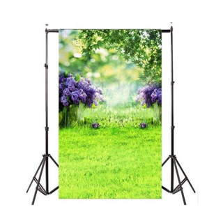 phông nền livestream