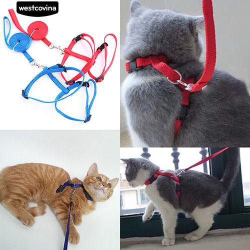 Dây xích cổ bằng nilon màu sắc đáng yêu cho mèo