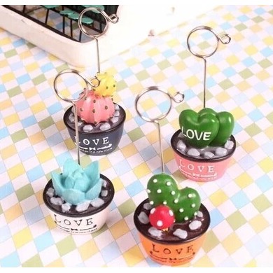 Kẹp ảnh Chậu cây xương rồng