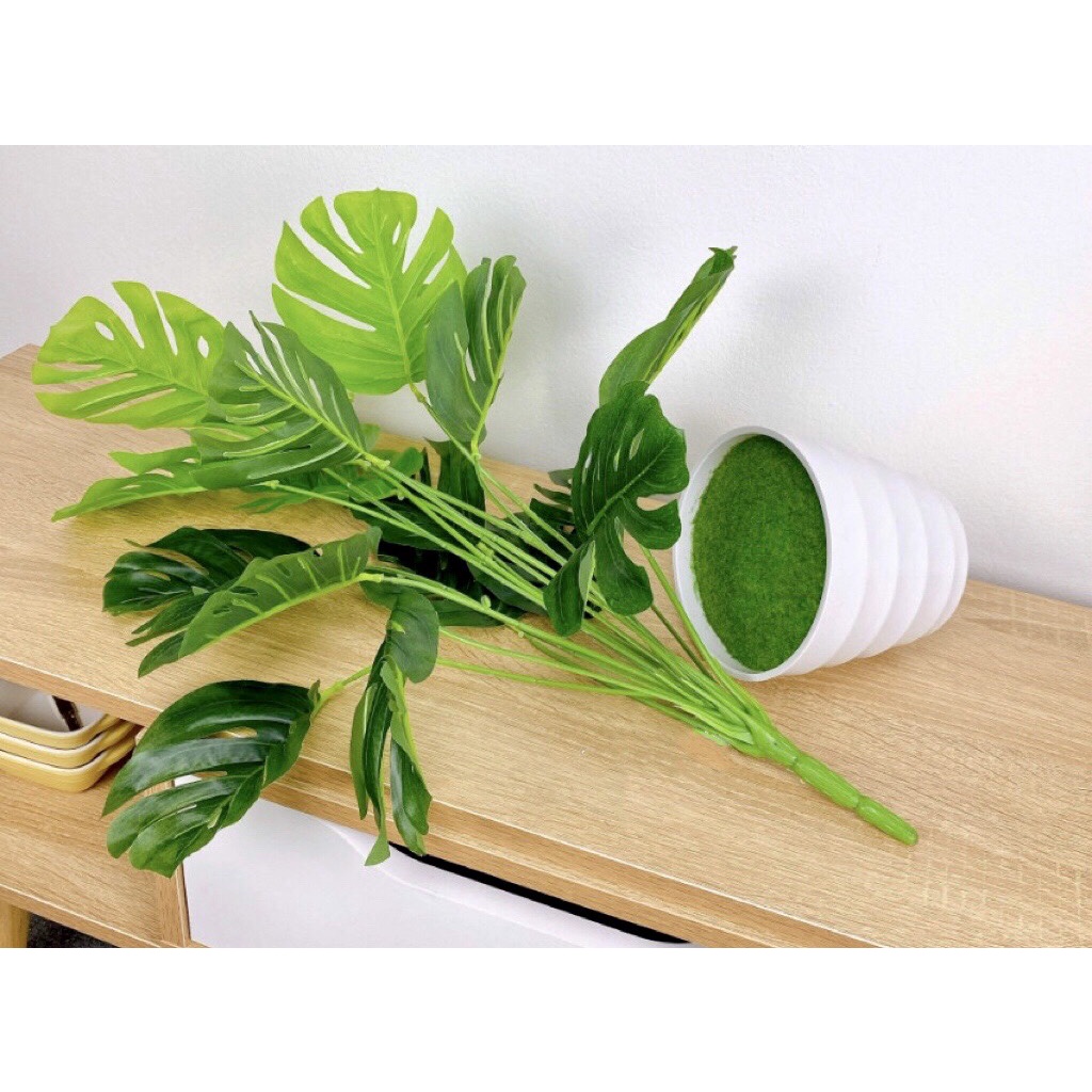 Hoa giả/cây giả - Cành lá rùa nhựa mang không gian xanh đến cho bạn, decor trang trí nhà, cửa hàng, phụ kiện cắm hoa...