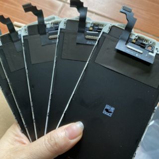 Màn 6plus zin