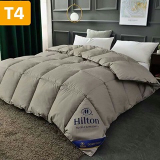 Ruột chăn lông vũ nhập khẩu hinton 2m*2m3