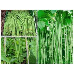 Hạt Giống Đậu Đũa 50g
