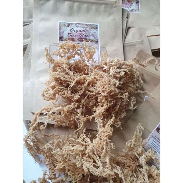Rong sụn khô 100gr - seamoss/ dried seamoss
