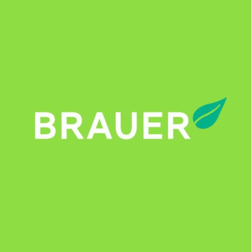 Brauer Vietnam Official Store