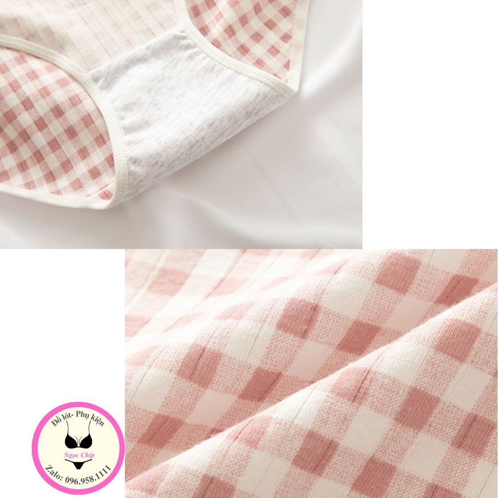 Quần lót nữ cotton co dãn 4 chiều hoạ tiết dâu tây dễ thương giá rẻ NĐ08