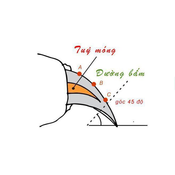 [1 Cái] Kềm Cắt Móng Cho Mèo Kèm Dũa 2 Màu Siêu Xinh