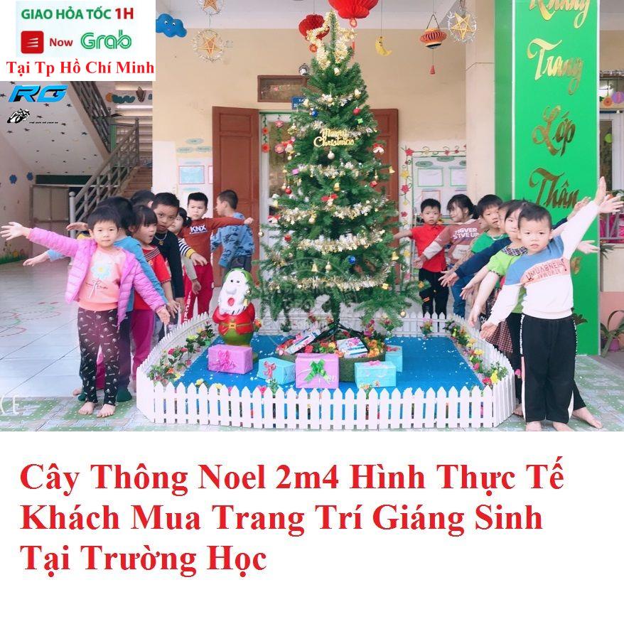 Cây Thông Noel 2M4 Chân Sắt + Đầy Đủ Phụ Kiện Thông Việt Nam Chất Lượng Cao