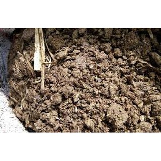Phân bò khô đã  qua xử lý trồng rau sạch 1kg, 1,5kg