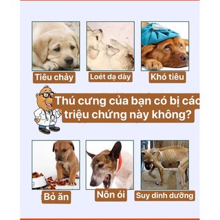 Lọ siro Mcgiten 10ml