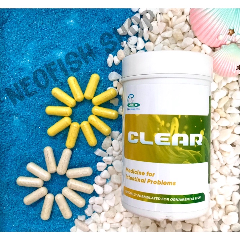 Xử lý sình bụng phân trắng cho cá la hán CZ9 - Clear