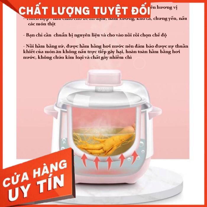 Nồi Kho Cá - Hầm Xương - Nấu Cháo Chậm Cách Thủy