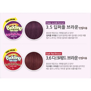 Nhuộm tóc EZN Shaking Pudding Hair Color
