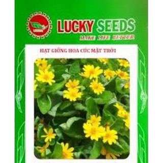 Hạt giống cúc mặt trời gói 50 hạt
