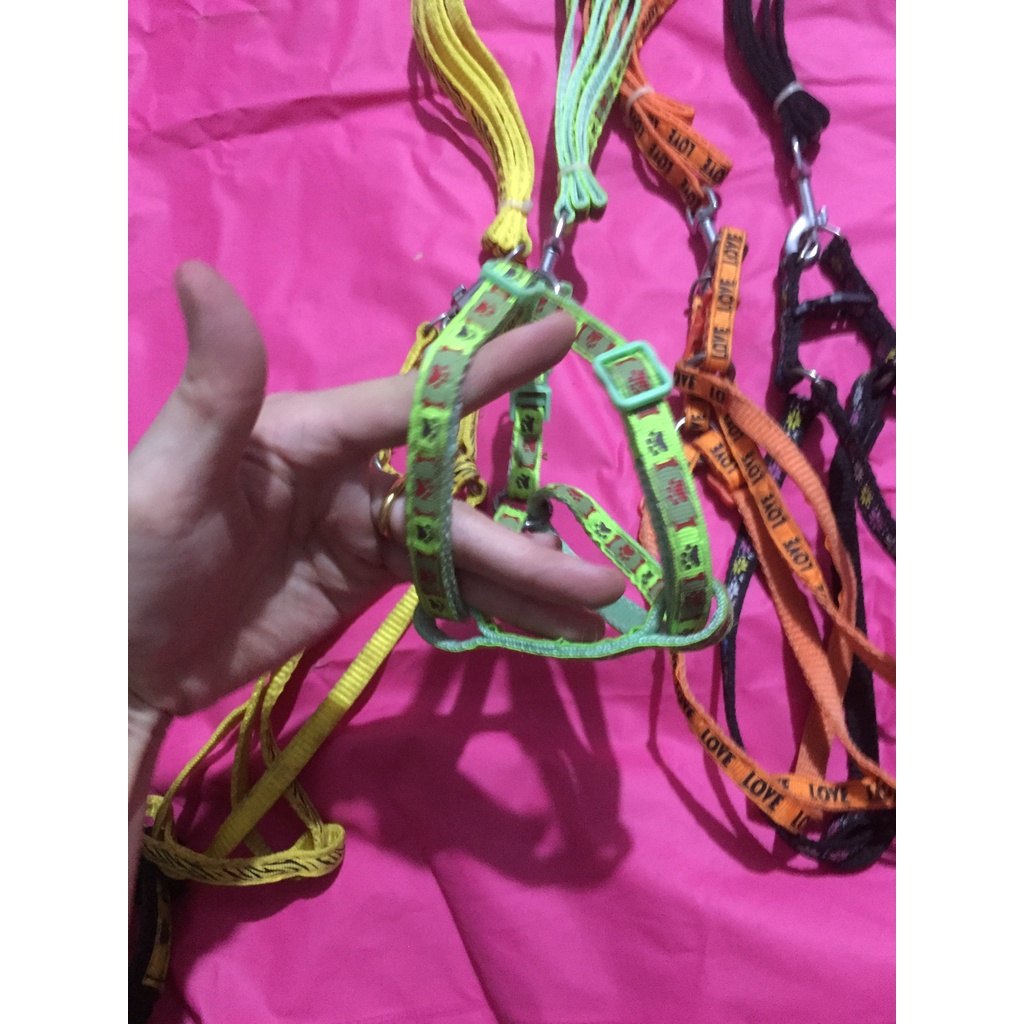 Dây dắt thú cưng chó mèo 1cm có yếm thanh lý