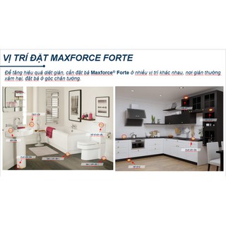 Diệt Gián Dạng Bả Maxforce Forte (20g)