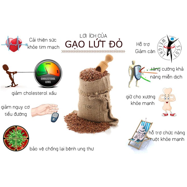 [Mã BMBAU50 giảm 7% đơn 99K] Combo 2 hộp mì gạo lứt đỏ sạch hữu cơ Tâm Thuỷ (400gr x 2)