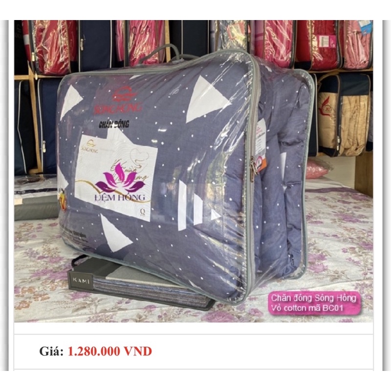 Chăn đông sông Hồng bông tinh khiết siêu chống khuẩn hàng chuẩn công ty sông hồng