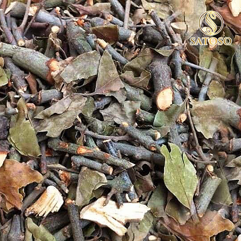 Tầm gửi gạo tốt cho thận, mát gan SATOSO 1kg SA89