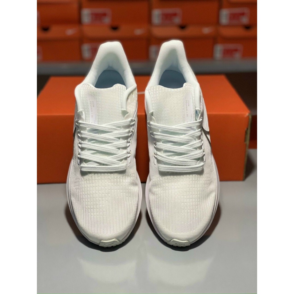 Giày Thể Thao Nike Pegasus