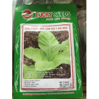 Hạt giống cải mơ lùn(20g)