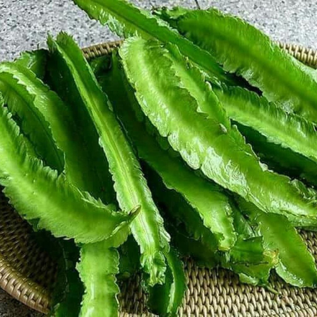 Hạt giống Đậu rồng - Đậu khế VTP43 | Vạn Tín Store