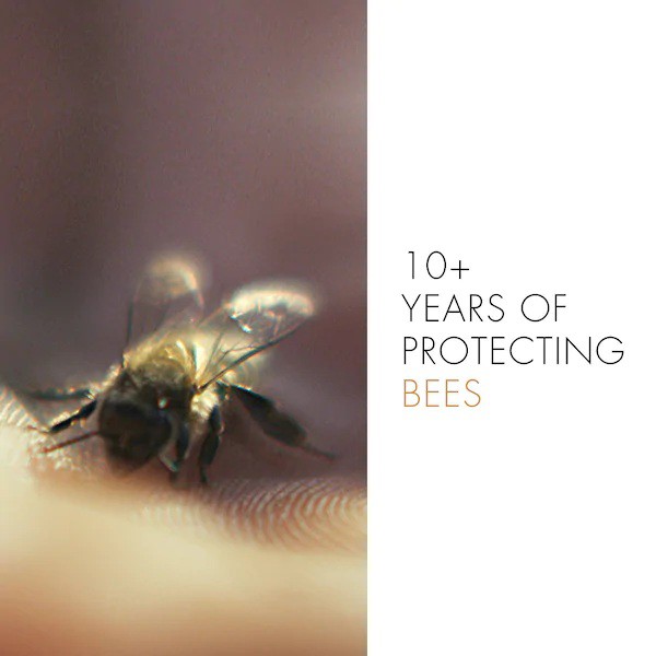 GUERLAIN 🏆 Dầu dưỡng chống lão hóa Abeille Royale Youth Watery Anti-Aging Oil | BigBuy360 - bigbuy360.vn