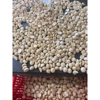 Hạt Macca nhân ĐakLak 500g